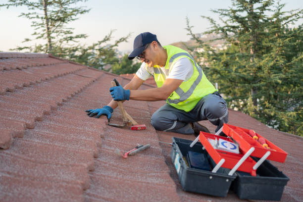 Gutter Installation and Roofing in Pine Ridge, SD